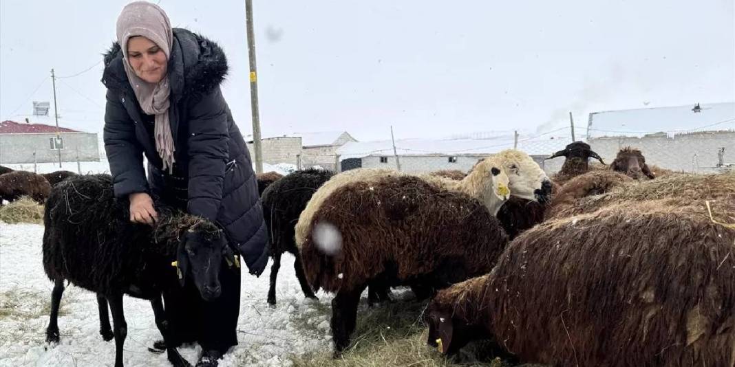 Devlet destekliyor sayıları artıyor! 3 yılda 99 binden 150 bine çıkan artış: Kırsalda kadın üreticiler de güçleniyor 1